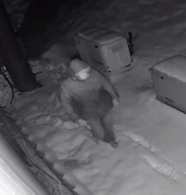 Identify the suspect